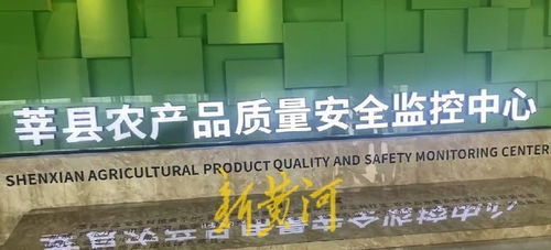 高瞰山東打卡聊城 莘縣蔬菜瓜果安全無憂，網絡安全軟件開發保障數字生活